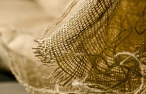 Craft Your Introduction: How to Write a Professional Introduction About Yourself 22 Craft Your Introduction: How to Write a Professional Introduction About Yourself