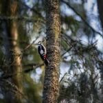 Should Your College Essay Relate to Your Major: Crafting Essays that Align with Your Academic Goals! 13 Should Your College Essay Relate to Your Major: Crafting Essays that Align with Your Academic Goals!