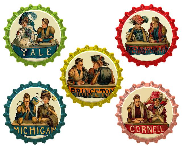 Why I Want to Join a Sorority Essay: Sisterhood, Service, and Lifetime Bonds! 11 The Lifelong Commitment: Sororities as a Foundation for Lifelong Connections and Engagement