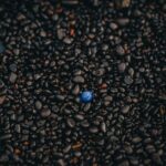 What Makes Me Unique Essay: Celebrating Individuality