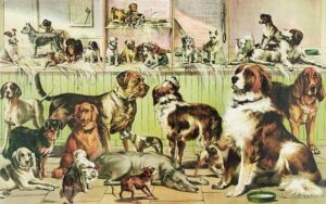 Why I Want to Be a Veterinarian Essay: Healing Hearts, One Paw at a Time!