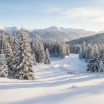 How to Describe Snowy Weather: Essay Writing Guide 20 Snowy winter landscape with pine trees and fresh powder for descriptive essay writing (AI Generated Image)
